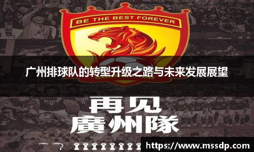 广州排球队的转型升级之路与未来发展展望