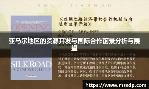 亚马尔地区的资源开发与国际合作前景分析与展望