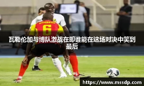 南宫NG·28