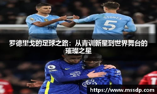 南宫NG·28相信品牌力量